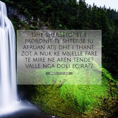 Picture 07 - Mateu 13:27 ALB - Dhe shërbëtorët e padronit të shtëpisë iu - Bible Verse Picture