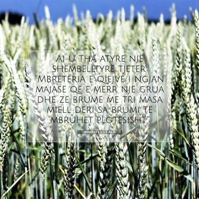 Picture 07 - Mateu 13:33 ALB - Ai u tha atyre një shëmbëlltyrë tjetër: - Bible Verse Picture