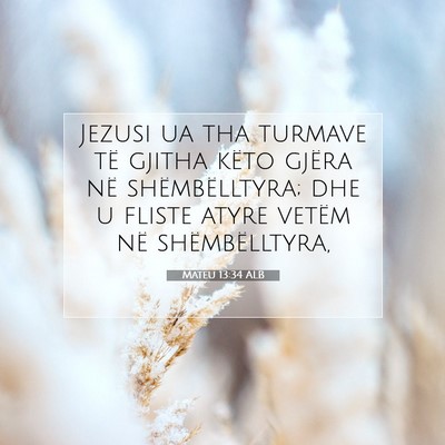 Picture 07 - Mateu 13:34 ALB - Jezusi ua tha turmave të gjitha këto gjëra në - Bible Verse Picture