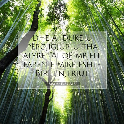 Picture 07 - Mateu 13:37 ALB - Dhe ai duke u përgjigjur u tha atyre: “Ai që - Bible Verse Picture