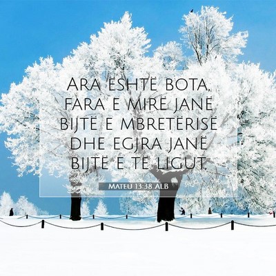 Picture 07 - Mateu 13:38 ALB - Ara është bota, fara e mirë janë bijtë e - Bible Verse Picture