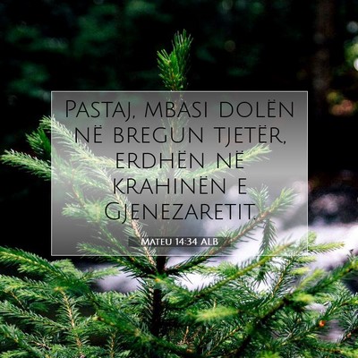 Picture 07 - Mateu 14:34 ALB - Pastaj, mbasi dolën në bregun tjetër, erdhën - Bible Verse Picture