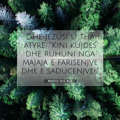 Picture 07 - Mateu 16:6 ALB - Dhe Jezusi u tha atyre: “Kini kujdes dhe ruhuni - Bible Verse Picture