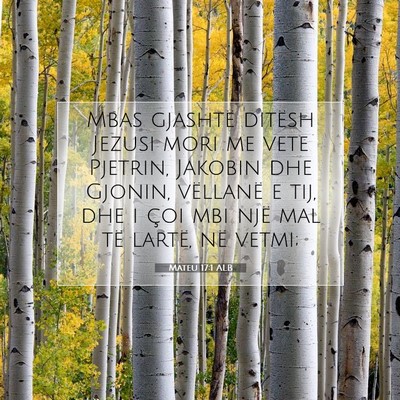 Picture 07 - Mateu 17:1 ALB - Mbas gjashtë ditësh Jezusi mori me vete - Bible Verse Picture