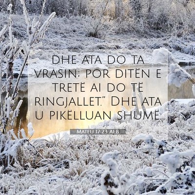 Picture 07 - Mateu 17:23 ALB - dhe ata do ta vrasin; por ditën e tretë ai do - Bible Verse Picture