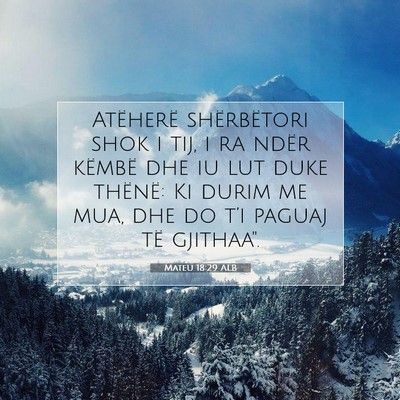 Picture 07 - Mateu 18:29 ALB - Atëherë shërbëtori shok i tij, i ra ndër - Bible Verse Picture