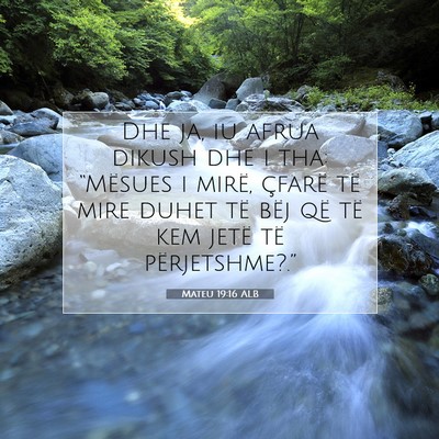 Picture 07 - Mateu 19:16 ALB - Dhe ja, iu afrua dikush dhe i tha: “Mësues i - Bible Verse Picture