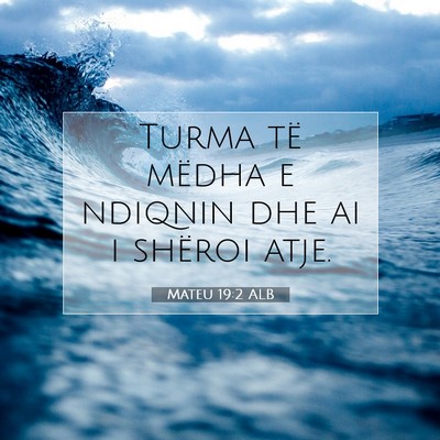 Picture 07 - Mateu 19:2 ALB - Turma të mëdha e ndiqnin dhe ai i shëroi - Bible Verse Picture
