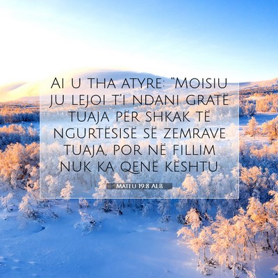 Picture 07 - Mateu 19:8 ALB - Ai u tha atyre: “Moisiu ju lejoi t’i ndani - Bible Verse Picture