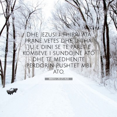 Picture 07 - Mateu 20:25 ALB - Dhe Jezusi i thirri ata pranë vetes dhe u tha: - Bible Verse Picture