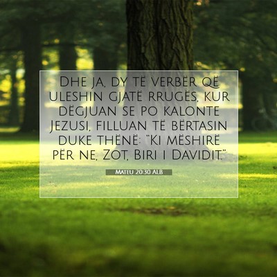 Picture 07 - Mateu 20:30 ALB - Dhe ja, dy të verbër që uleshin gjatë - Bible Verse Picture