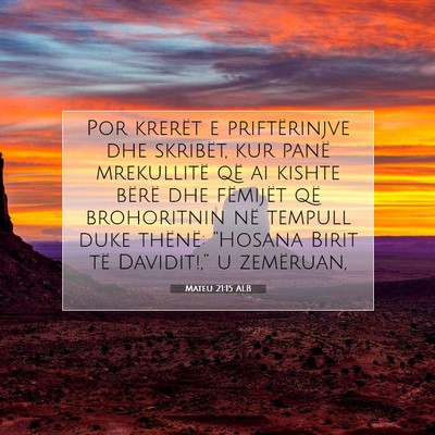 Picture 07 - Mateu 21:15 ALB - Por krerët e priftërinjve dhe skribët, kur - Bible Verse Picture