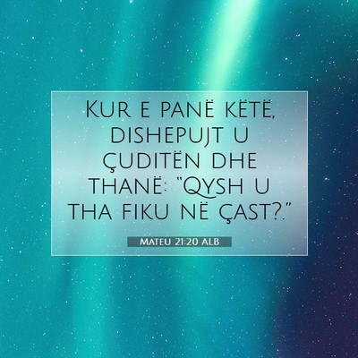 Picture 07 - Mateu 21:20 ALB - Kur e panë këtë, dishepujt u çuditën dhe - Bible Verse Picture
