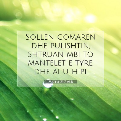 Picture 07 - Mateu 21:7 ALB - Sollën gomaren dhe pulishtin, shtruan mbi to - Bible Verse Picture