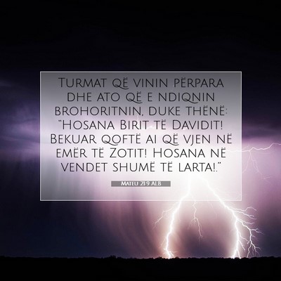 Picture 07 - Mateu 21:9 ALB - Turmat që vinin përpara dhe ato që e ndiqnin - Bible Verse Picture