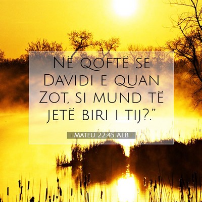 Picture 07 - Mateu 22:45 ALB - Në qoftë se Davidi e quan Zot, si mund të - Bible Verse Picture
