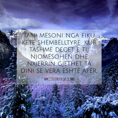 Picture 07 - Mateu 24:32 ALB - Tani mësoni nga fiku këtë shëmbëlltyrë: kur - Bible Verse Picture