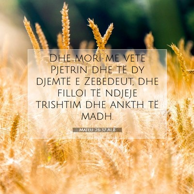 Picture 07 - Mateu 26:37 ALB - Dhe mori me vete Pjetrin dhe të dy djemtë e - Bible Verse Picture