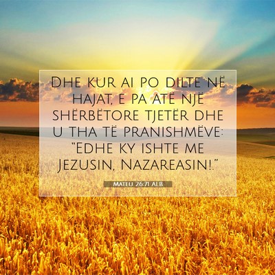 Picture 07 - Mateu 26:71 ALB - Dhe kur ai po dilte në hajat, e pa atë një - Bible Verse Picture