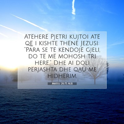 Picture 07 - Mateu 26:75 ALB - Atëherë Pjetri kujtoi atë që i kishte thënë - Bible Verse Picture