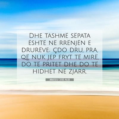 Picture 07 - Mateu 3:10 ALB - Dhe tashmë sëpata është në rrënjën e - Bible Verse Picture