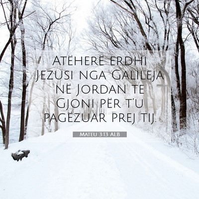 Picture 07 - Mateu 3:13 ALB - Atëherë erdhi Jezusi nga Galileja në Jordan te - Bible Verse Picture