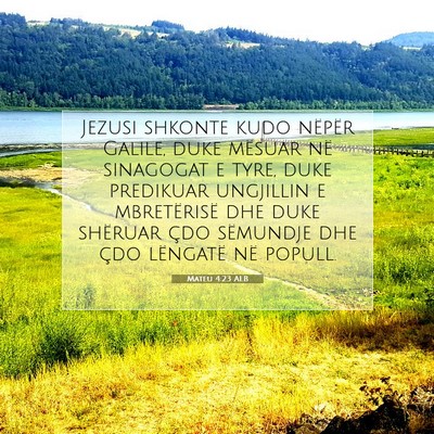 Picture 07 - Mateu 4:23 ALB - Jezusi shkonte kudo nëpër Galile, duke mësuar - Bible Verse Picture
