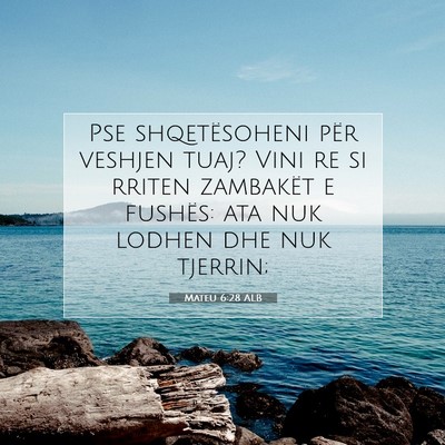 Picture 07 - Mateu 6:28 ALB - Pse shqetësoheni për veshjen tuaj? Vini re si - Bible Verse Picture