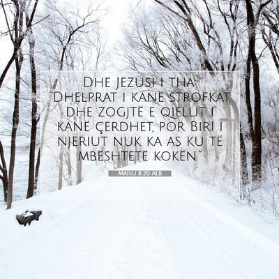 Picture 07 - Mateu 8:20 ALB - Dhe Jezusi i tha: “Dhelprat i kanë strofkat, - Bible Verse Picture