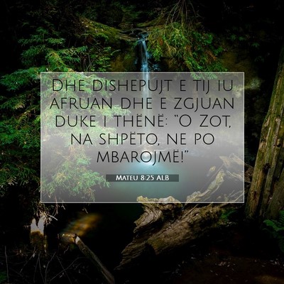 Picture 07 - Mateu 8:25 ALB - Dhe dishepujt e tij iu afruan dhe e zgjuan duke i - Bible Verse Picture