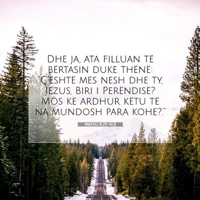 Picture 07 - Mateu 8:29 ALB - Dhe ja, ata filluan të bërtasin duke thënë: - Bible Verse Picture