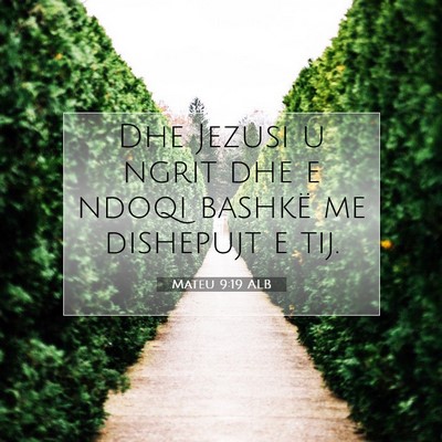 Picture 07 - Mateu 9:19 ALB - Dhe Jezusi u ngrit dhe e ndoqi bashkë me - Bible Verse Picture