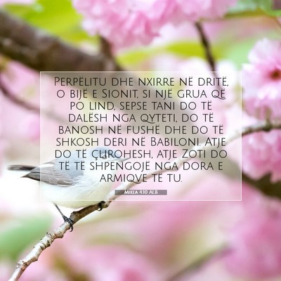 Picture 07 - Mikea 4:10 ALB - Perpëlitu dhe nxirre në dritë, o bijë e - Bible Verse Picture