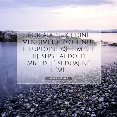 Picture 07 - Mikea 4:12 ALB - Por ata nuk i dinë mendimet e Zotit, nuk e - Bible Verse Picture