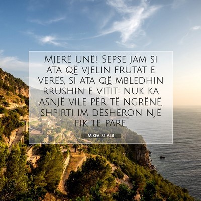 Picture 07 - Mikea 7:1 ALB - Mjerë unë! Sepse jam si ata që vjelin frutat e - Bible Verse Picture
