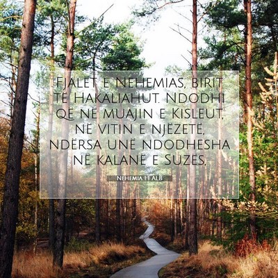 Picture 07 - Nehemia 1:1 ALB - Fjalët e Nehemias, birit të Hakaliahut. Ndodhi - Bible Verse Picture