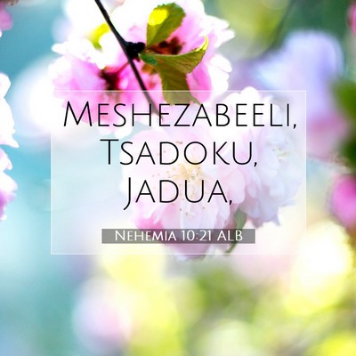 Picture 07 - Nehemia 10:21 ALB - Meshezabeeli, Tsadoku, - Bible Verse Picture