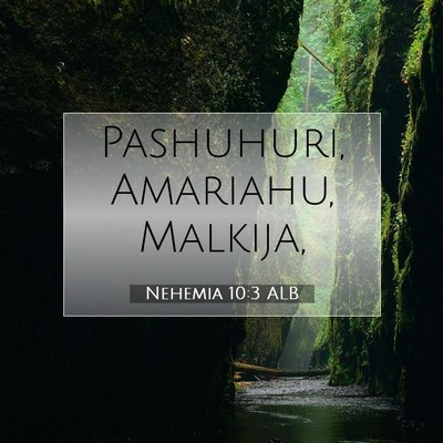 Picture 07 - Nehemia 10:3 ALB - Pashuhuri, Amariahu, - Bible Verse Picture