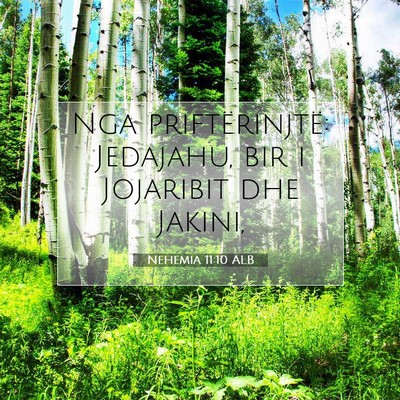Picture 07 - Nehemia 11:10 ALB - Nga priftërinjtë: Jedajahu, bir i Jojaribit dhe - Bible Verse Picture