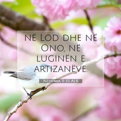 Picture 07 - Nehemia 11:35 ALB - në Lod dhe në Ono, në luginën e - Bible Verse Picture