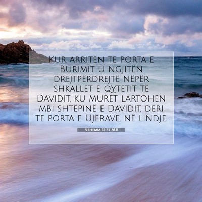 Picture 07 - Nehemia 12:37 ALB - Kur arritën te porta e Burimit u ngjitën - Bible Verse Picture