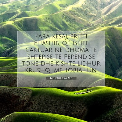 Picture 07 - Nehemia 13:4 ALB - Para kësaj, prifti Eliashib, që ishte caktuar - Bible Verse Picture