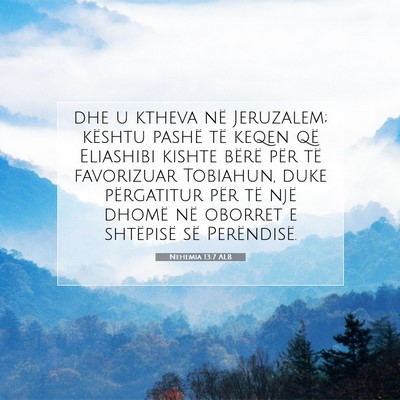 Picture 07 - Nehemia 13:7 ALB - dhe u ktheva në Jeruzalem; kështu pashë të - Bible Verse Picture