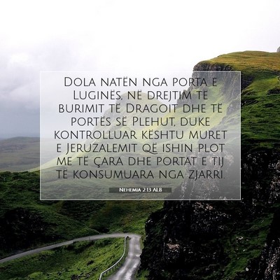 Picture 07 - Nehemia 2:13 ALB - Dola natën nga porta e Luginës, në drejtim të - Bible Verse Picture