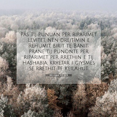 Picture 07 - Nehemia 3:17 ALB - Pas tij punuan për riparimet Levitët, nën - Bible Verse Picture
