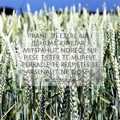 Picture 07 - Nehemia 3:19 ALB - Pranë tij Ezeri, bir i Jeshuas, kryetar i - Bible Verse Picture
