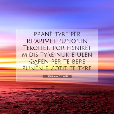 Picture 07 - Nehemia 3:5 ALB - pranë tyre për riparimet punonin Tekoitët; por - Bible Verse Picture