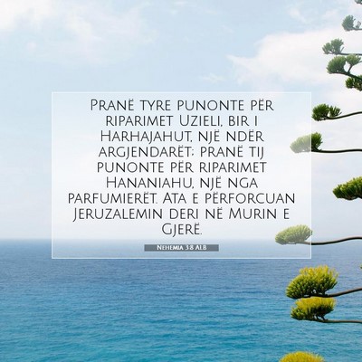Picture 07 - Nehemia 3:8 ALB - Pranë tyre punonte për riparimet Uzieli, bir i - Bible Verse Picture