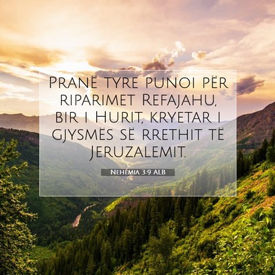 Picture 07 - Nehemia 3:9 ALB - Pranë tyre punoi për riparimet Refajahu, bir i - Bible Verse Picture
