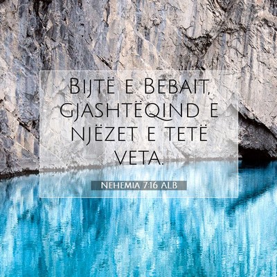 Picture 07 - Nehemia 7:16 ALB - Bijtë e Bebait, gjashtëqind e njëzet e tetë - Bible Verse Picture